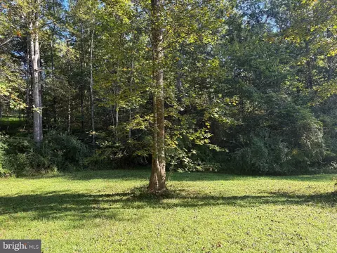 0 Pine Torch, Madison, VA 22727 photo 7