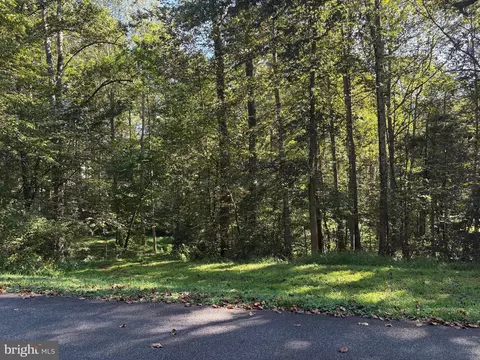 0 Pine Torch, Madison, VA 22727 photo 6