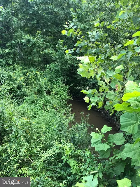 tbd Orange Rd, Aroda, VA 22709 photo 6
