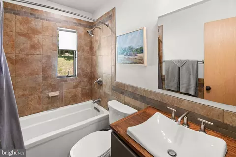 Bath - 1319 Champe Pln, Etlan, VA 22719 photo 3 of 3