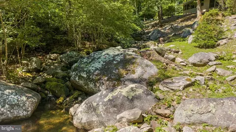 Exterior - 1319 Champe Pln, Etlan, VA 22719 photo 4 of 14