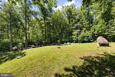 Exterior - 1319 Champe Pln, Etlan, VA 22719 photo 10 of 14
