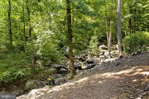 Exterior - 1319 Champe Pln, Etlan, VA 22719 photo 12 of 14