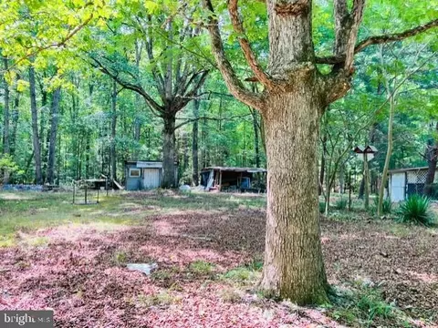 Exterior - 3599 Skipwith Rd, Boydton, VA 23917 photo 4 of 5