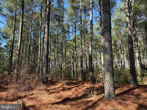 Off Rt. 14, North, VA 23128 photo 10