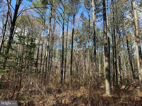 Off Rt. 14, North, VA 23128 photo 13