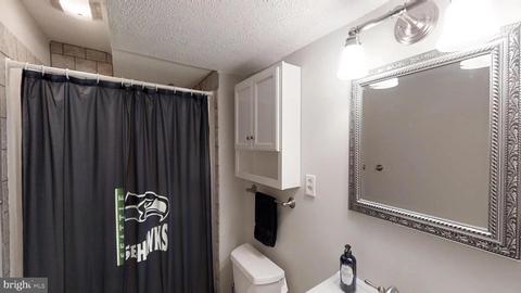 9504 Grays Mill Ct, Manassas, VA 20110 photo 53