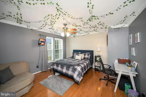 10169 Caladium Dr, Manassas, VA 20110 photo 26