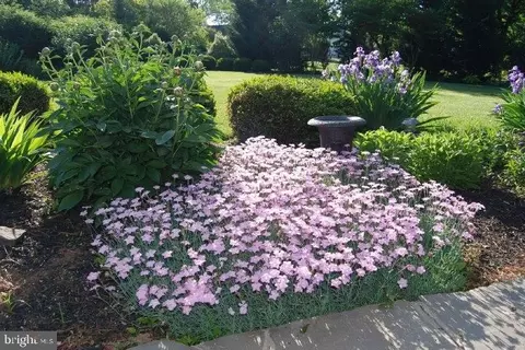 9107 Main St, Manassas, VA 20110 photo 49