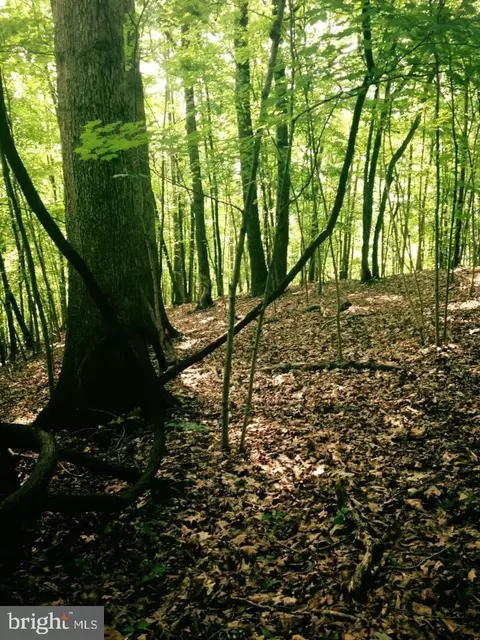Echo Hills Rd, Shawsville, VA 24162