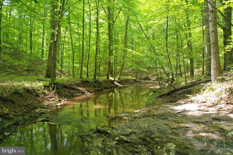 Tbd S Powells Island Rd, Arrington, VA 22922