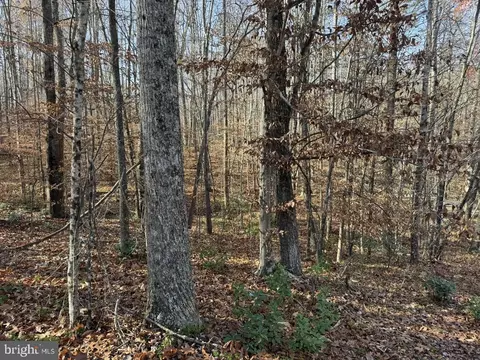 Off Piney Mountain Lane, Shipman, VA 22971 photo 20