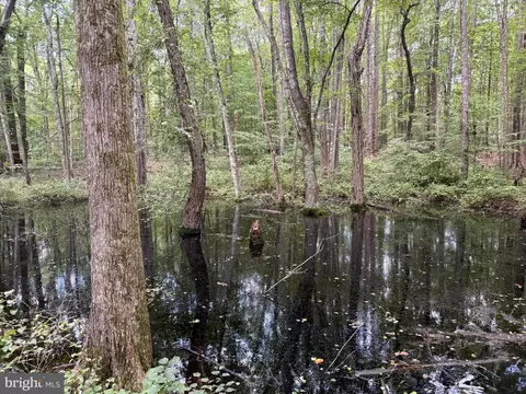 tbd Glade Rd, Shipman, VA 22971 photo 19