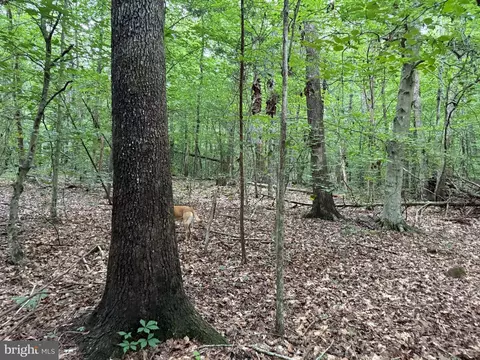 tbd Glade Rd, Shipman, VA 22971 photo 9