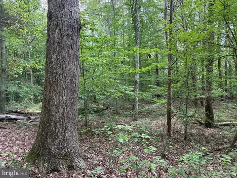 tbd Glade Rd, Shipman, VA 22971 photo 11