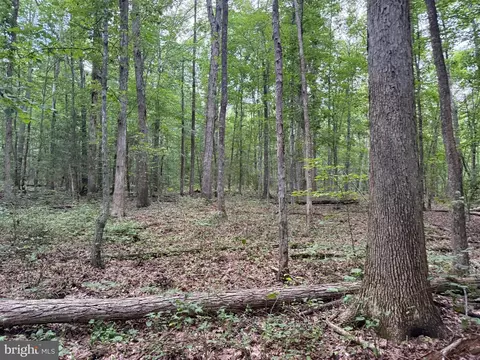 tbd Glade Rd, Shipman, VA 22971 photo 14