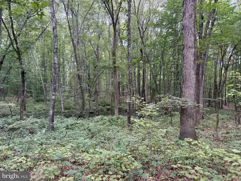 tbd Glade Rd, Shipman, VA 22971 photo 15