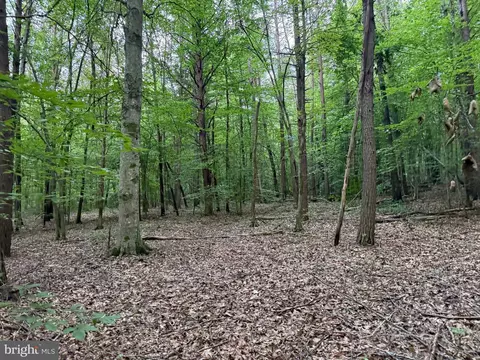 tbd Glade Rd, Shipman, VA 22971 photo 5