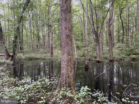 tbd Glade Rd, Shipman, VA 22971 photo 17