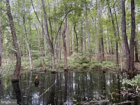 tbd Glade Rd, Shipman, VA 22971 photo 23