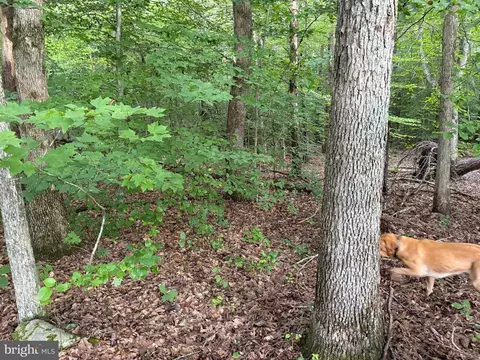tbd Glade Rd, Shipman, VA 22971 photo 3