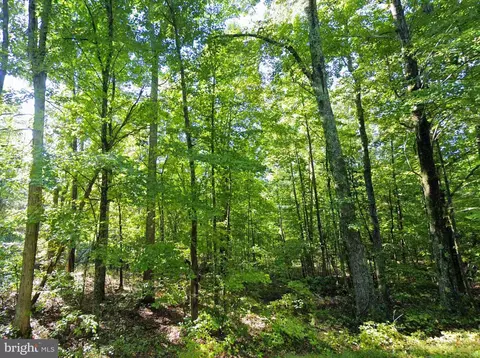 6067 Laurel Rd, Shipman, VA 22971 photo 6