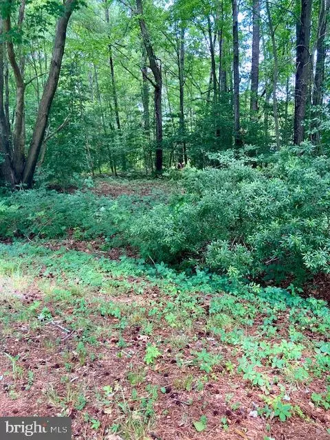 lot34 Riley Ln, Burgess, VA 22432