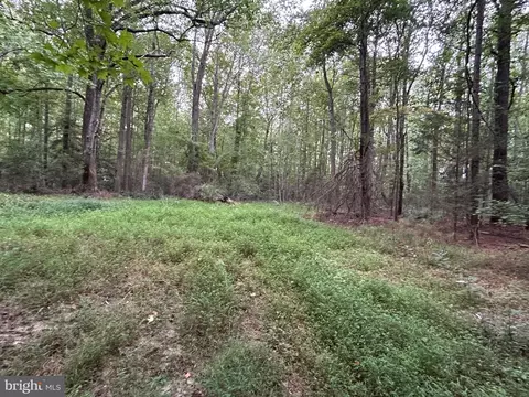 Mila Road, Heathsville, VA 22473