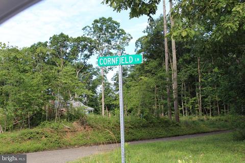 7165 Cornfield, Rhoadesville, VA 22542 photo 7