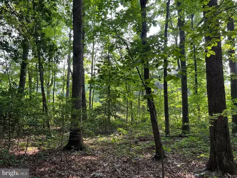 Tbd Mine Run Rd, Rhoadesville, VA 22542 photo 18