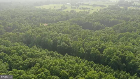 Tbd Mine Run Rd, Rhoadesville, VA 22542 photo 23