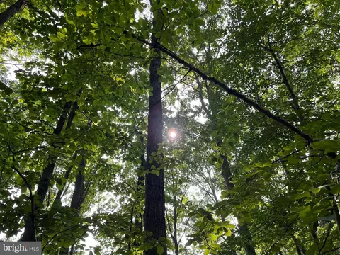Tbd Mine Run Rd, Rhoadesville, VA 22542 photo 19