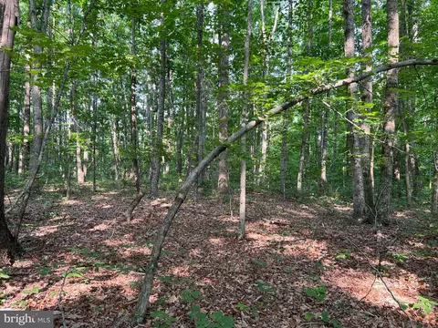 Tbd Mine Run Rd, Rhoadesville, VA 22542 photo 20