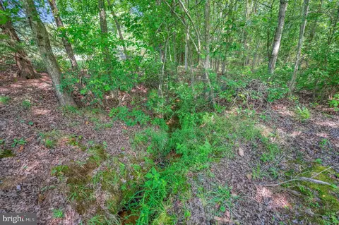 9315 Stonegate Ln, Rhoadesville, VA 22542 photo 58