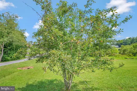 9315 Stonegate Ln, Rhoadesville, VA 22542 photo 19