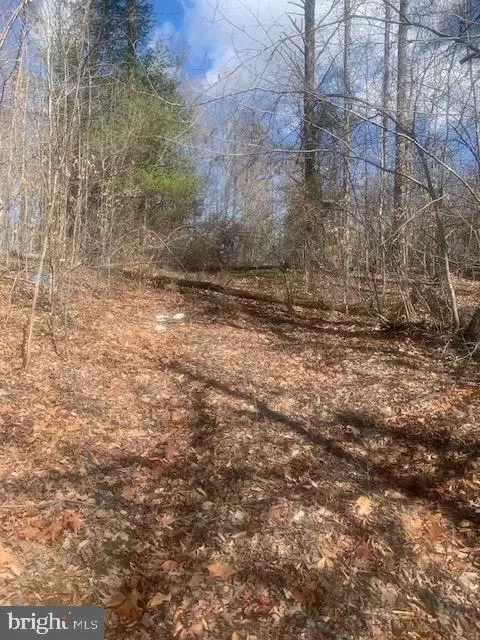 0 Lahore Rd #LOT 1, Orange, VA 22960