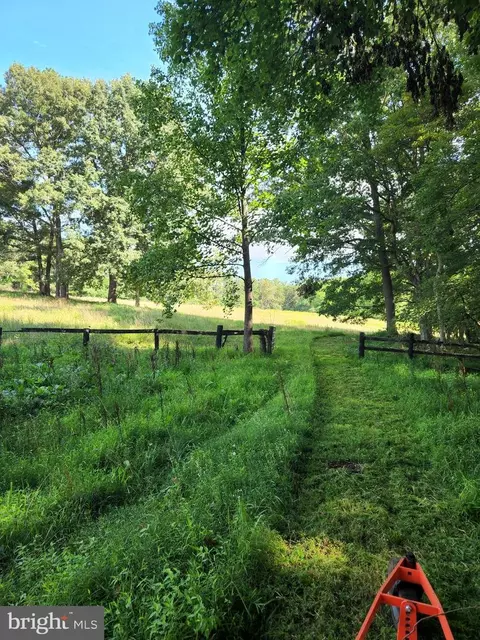Everona Road, Unionville, VA 22567