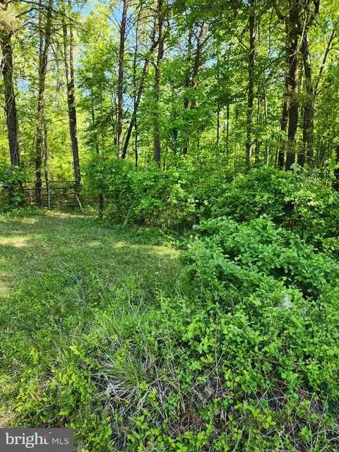Everona Road, Unionville, VA 22567