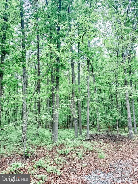 Lot 5 Independence Road, Unionville, VA 22567