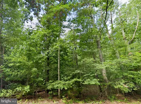 00 Pannell Ln, Culpeper, VA 22701