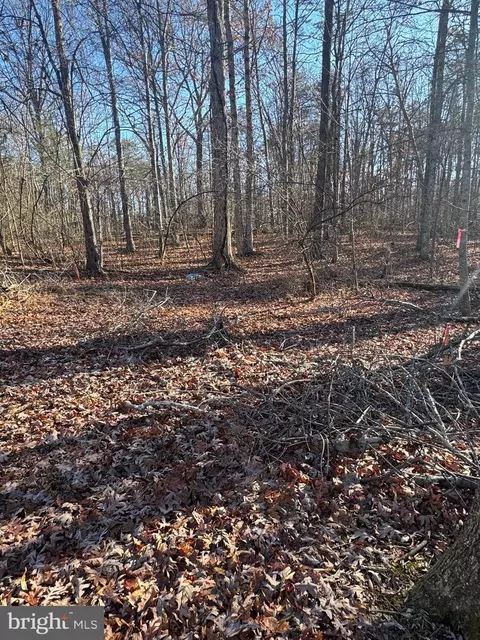 00 Cox Mill Rd, Gordonsville, VA 22942