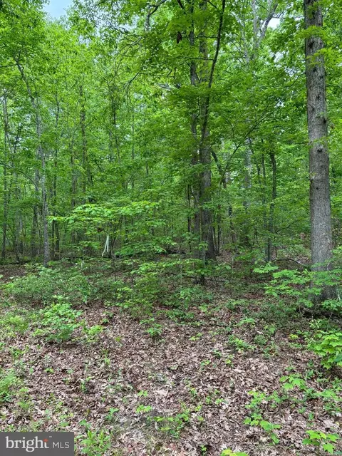 R/w Off Justice Drive, Orange, VA 22960