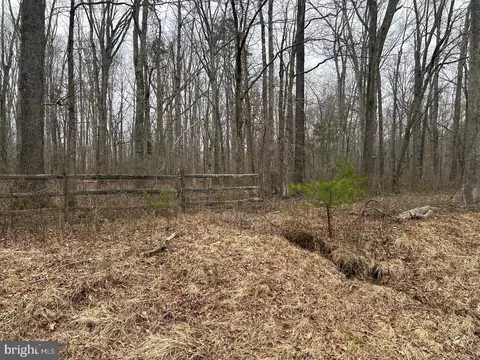 Swan Woods Road, Rhoadesville, VA 22542 photo 2