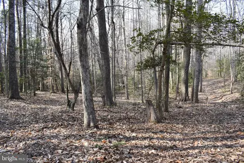 29459 Old Office Rd, Rhoadesville, VA 22542 photo 24