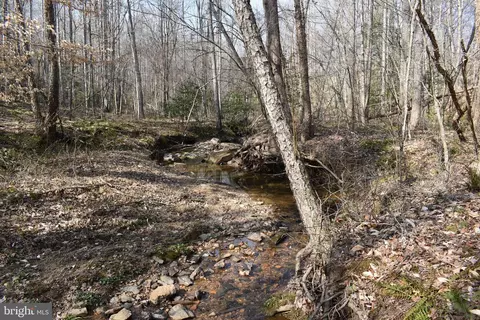 29459 Old Office Rd, Rhoadesville, VA 22542 photo 22