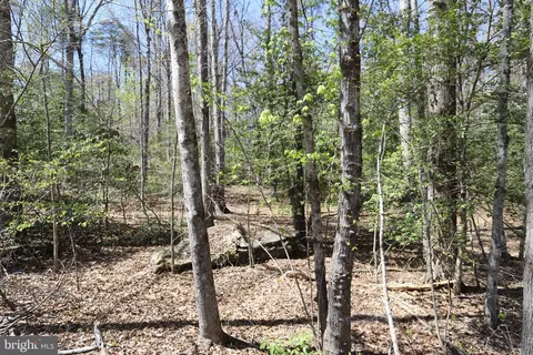 New Hampshire Road, Rhoadesville, VA 22542