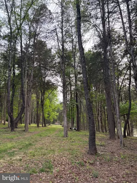 00 Mcalexander Rd, Orange, VA 22960 photo 6