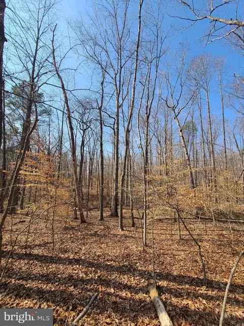 0 Lakefront Ct, Orange, VA 22960 photo 8