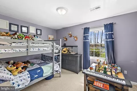Bedroom - 8343 Wilderness Woods Ln, Rhoadesville, VA 22542 photo 4 of 4