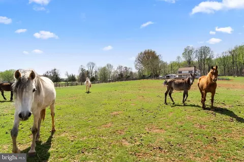 19050 Monteith Farm Rd, Gordonsville, VA 22942